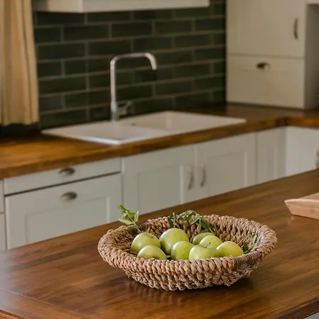 Willa Oleanna - Elena Svoronata